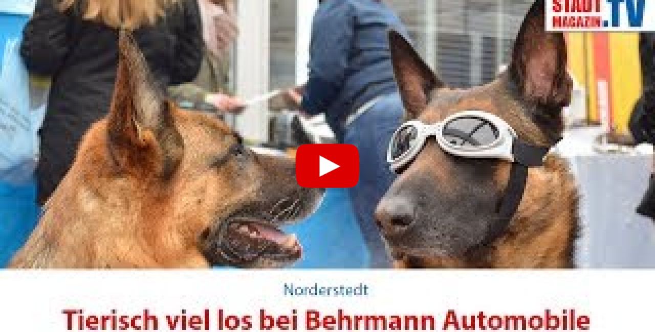 Tierisch viel los bei Behrmann Automobile! Thumbnail