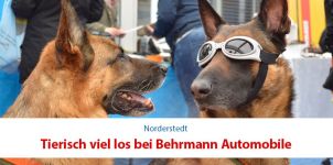 Tierisch viel los bei Behrmann Automobile!