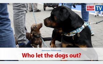 Who let the dogs out? - 9. Norderstedter Hundemesse